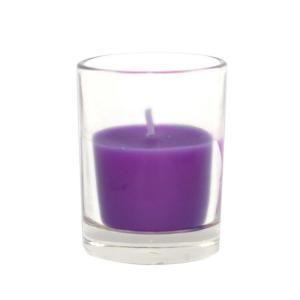 Zest Candle 2 in. Purple Round Glass Votive Candles (12 Box) CVZ 029