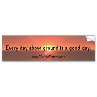 Every Day Above Ground Bumper Sticker