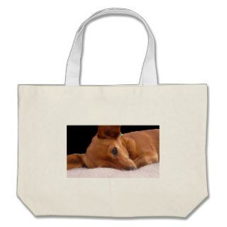 Inki The Chihuahua Bag by Barbara Stock