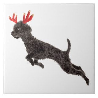 Christmas Black Toy Poodle Dog Reindeer Antlers Tile