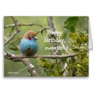 Happy Birthday, Sweetie Greeting Card