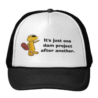 It's just one dam project after another. mesh hats