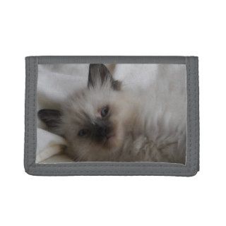 Beautiful Siamese Kitten Wallet