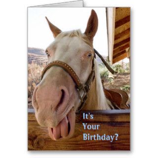 Horse Birthday Cards