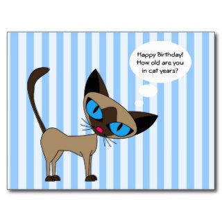 Siamese   Happy Birthday Cat Years   Postcard