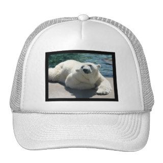Arctic Polar Bear Baseball Hat