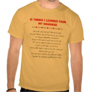 Funny Things I Learned My Havanese Tee Shirts