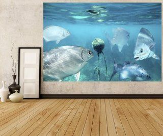 WM134   Lowfin Chub Fische Unterwasser. unter dem Meer Fototapete. Peel und Stick selbstklebende Tapete. Peel und Stick Wandbild Fototapete Art Fever TM UK Baumarkt