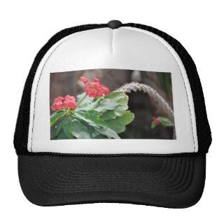 Red Crown of Thorns Plant Mesh Hat