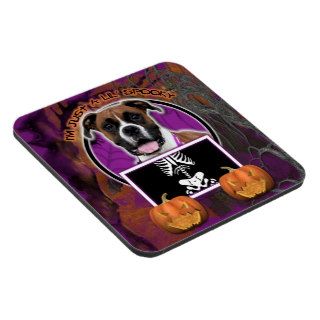 Halloween   Just a Lil Spooky   Boxer   Vindy Beverage Coasters