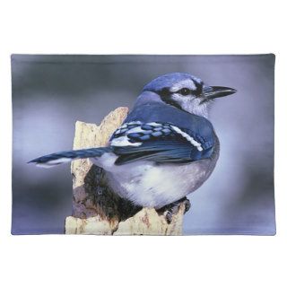 Blue Jay Bird Lovers Gifts Placemats