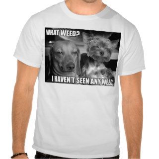 WHAT WEED ? SHIRTS