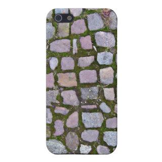 Cobblestone Pavement With Moss Growing Between Sto Covers For iPhone 5