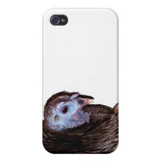 Female Florida Wild Turkey with baby chick iPhone 4 Case