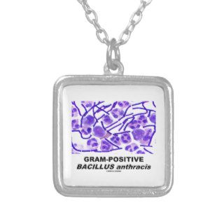 Gram Positive Bacillus anthracis (Bacteria) Jewelry