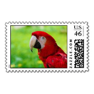 Scarlet Macaw Ara Macao American Parrot Stamps