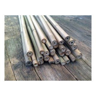 25 Stück Bambusstäbe   Bambusstangen 182 cm lang/ 12 14 mm dick Garten