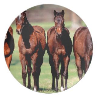 Horses 4 Studs Pose Party Plates