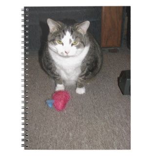Grumpy Fat Cat is not amused Spiral Notebooks