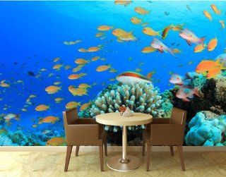 Fototapete Riffleben Unterwasser KT196 Größe 420x270cm Tapete Unterwasser Meer Riff Küche & Haushalt