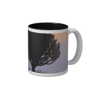 Candelabra Tree silhouetted at sunrise, Coffee Mug