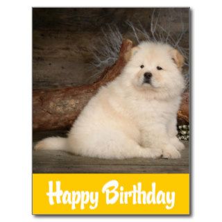 Happy Birthday Chow Chow Puppy Dog Yellow Postcard