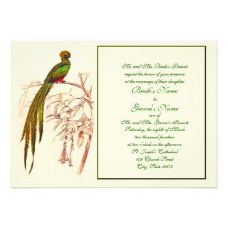 TBA Winner 7 19 10 Green Bird Invitation