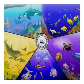 Sea Life In The Different Oceans Poster