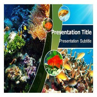 Coral Reefs PowerPoint Template   Coral Reefs PowerPoint (PPT) Backgrounds Templates Software