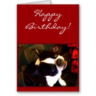 Happy Birthday Boston Terrier greeting card