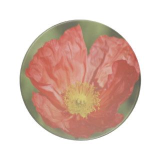 Poppy flower and meaning beverage coasters