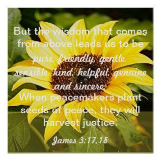 seeds of peace bible verse James 317 18 Posters