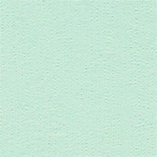 Bazzill Cardstock 12X12   Turquoise Mist/Grass Cloth 