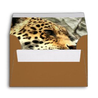 chic modern africa safari leopard envelope
