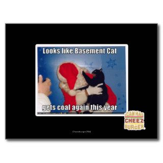 Basement Cat gets coal Post Card