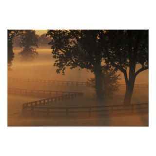 NA, USA, Kentucky. Foggy sunrise on Kentucky Print
