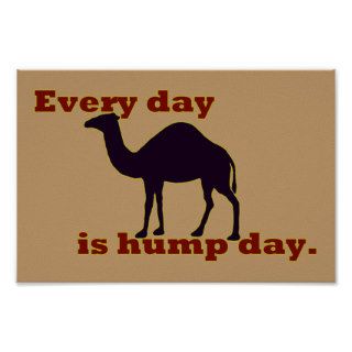 Camel "Every Day is Hump Day" Print
