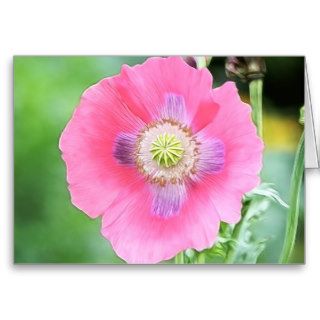 Poppy Bloom   Papaver Somniferum Greeting Card