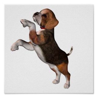 Playful Beagle Poster