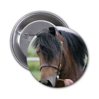 Large Draft Horse Button