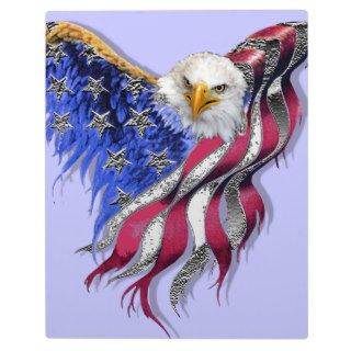 USA Eagle American Symbolism Display Plaque