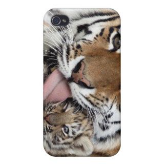 Baby Tiger Having a Bath iPhone 4 Covers