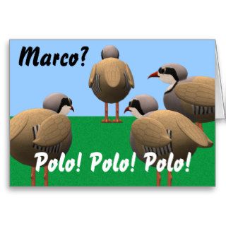 Marco Polo Birthday Greeting Card