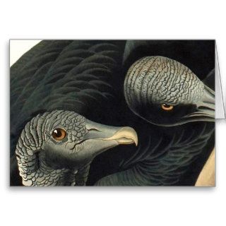 Black Vultures, John James Audubon Greeting Cards