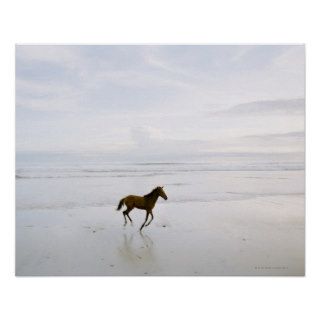Horse running on the beach print