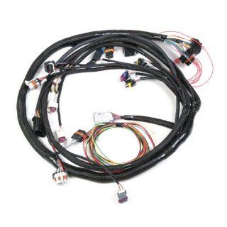 Holley 558 102 LS1 Main Harness Automotive