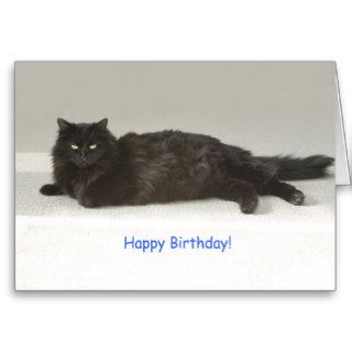 Black Cat Birthday Card by Focus for a Cause