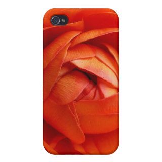 Red Rose iPhone 4/4S Cases