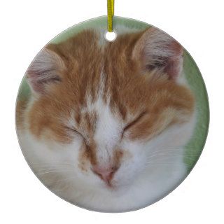 Ginger Tabby Having A Cat Nap Christmas Tree Ornament