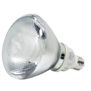 Philips 93W Equivalent Soft White (2700K) PAR38 Reflector CFL Light Bulb (E*) 416784